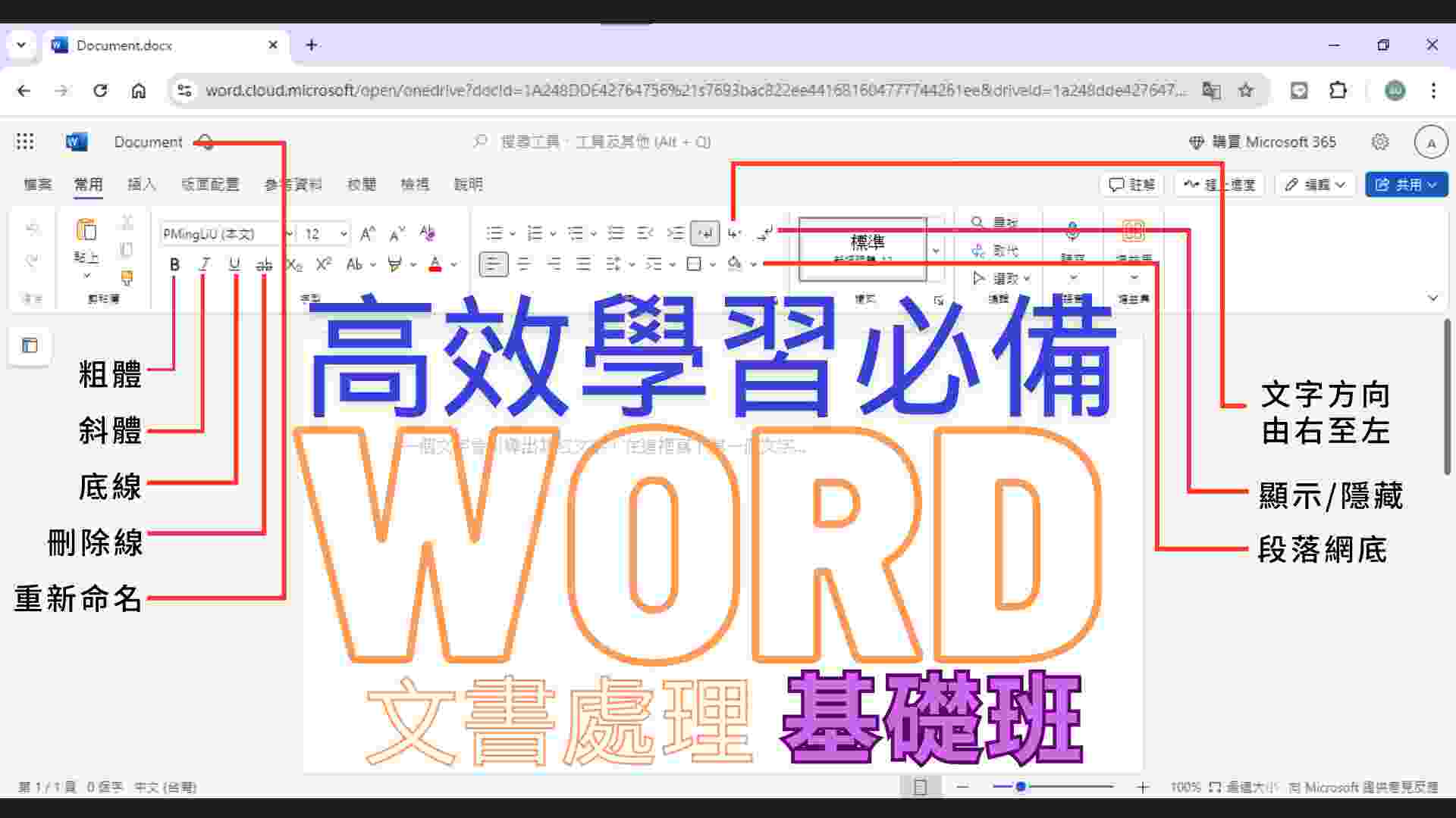 Word基礎 的預覽圖片